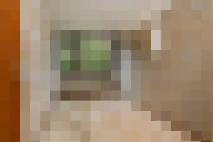 Waaienberg 60 Zoetermeer thumbnail 18