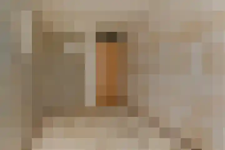 Waaienberg 60 Zoetermeer thumbnail 19