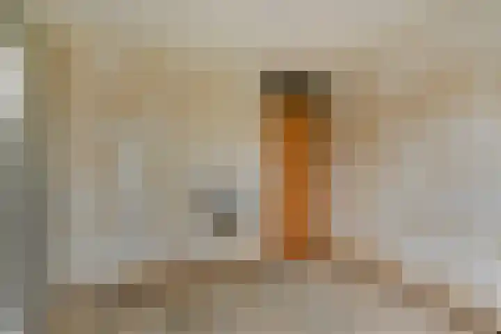Waaienberg 60 Zoetermeer thumbnail 24