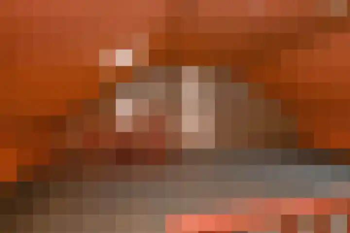 Waaienberg 60 Zoetermeer thumbnail 27