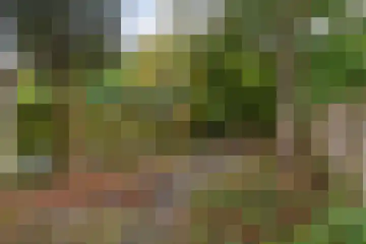Waaienberg 60 Zoetermeer thumbnail 29