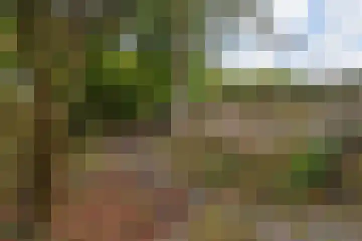 Waaienberg 60 Zoetermeer thumbnail 30