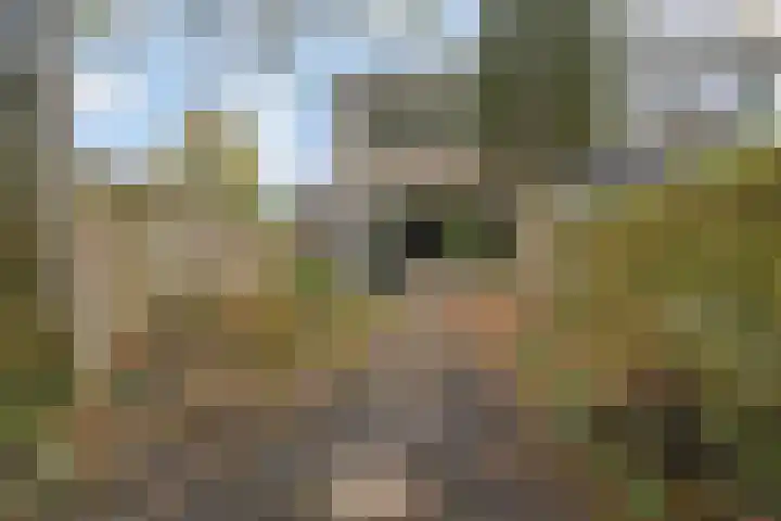 Waaienberg 60 Zoetermeer thumbnail 31