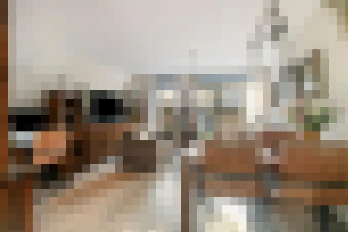 Waaierdans 15 Capelle aan den IJssel thumbnail 10