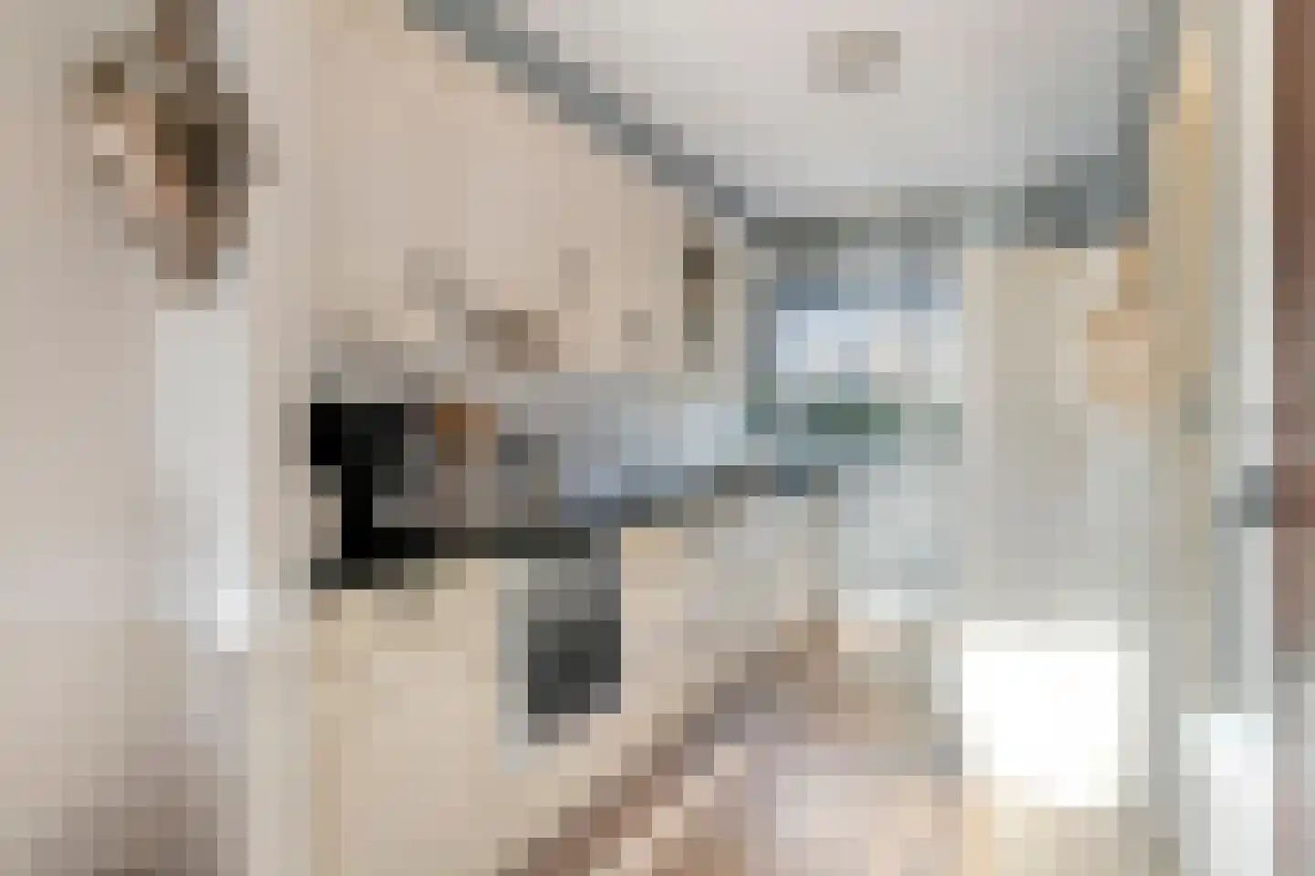 Waaierdans 15 Capelle aan den IJssel thumbnail 13