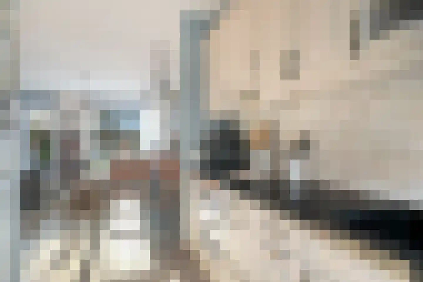 Waaierdans 15 Capelle aan den IJssel thumbnail 14