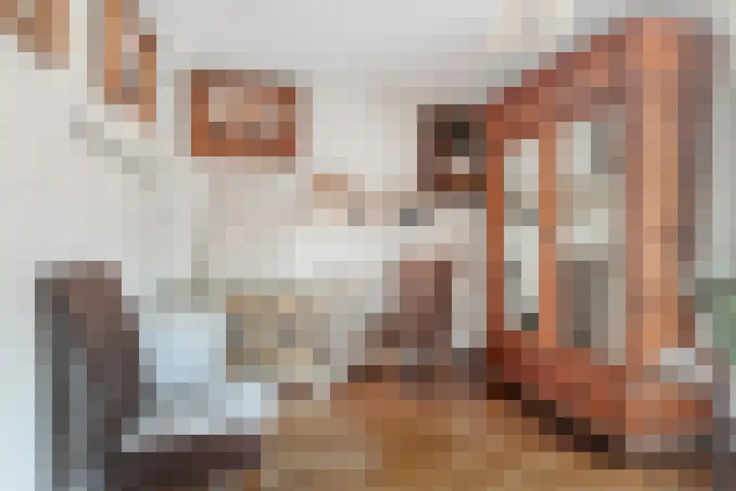Waaierdans 15 Capelle aan den IJssel thumbnail 18