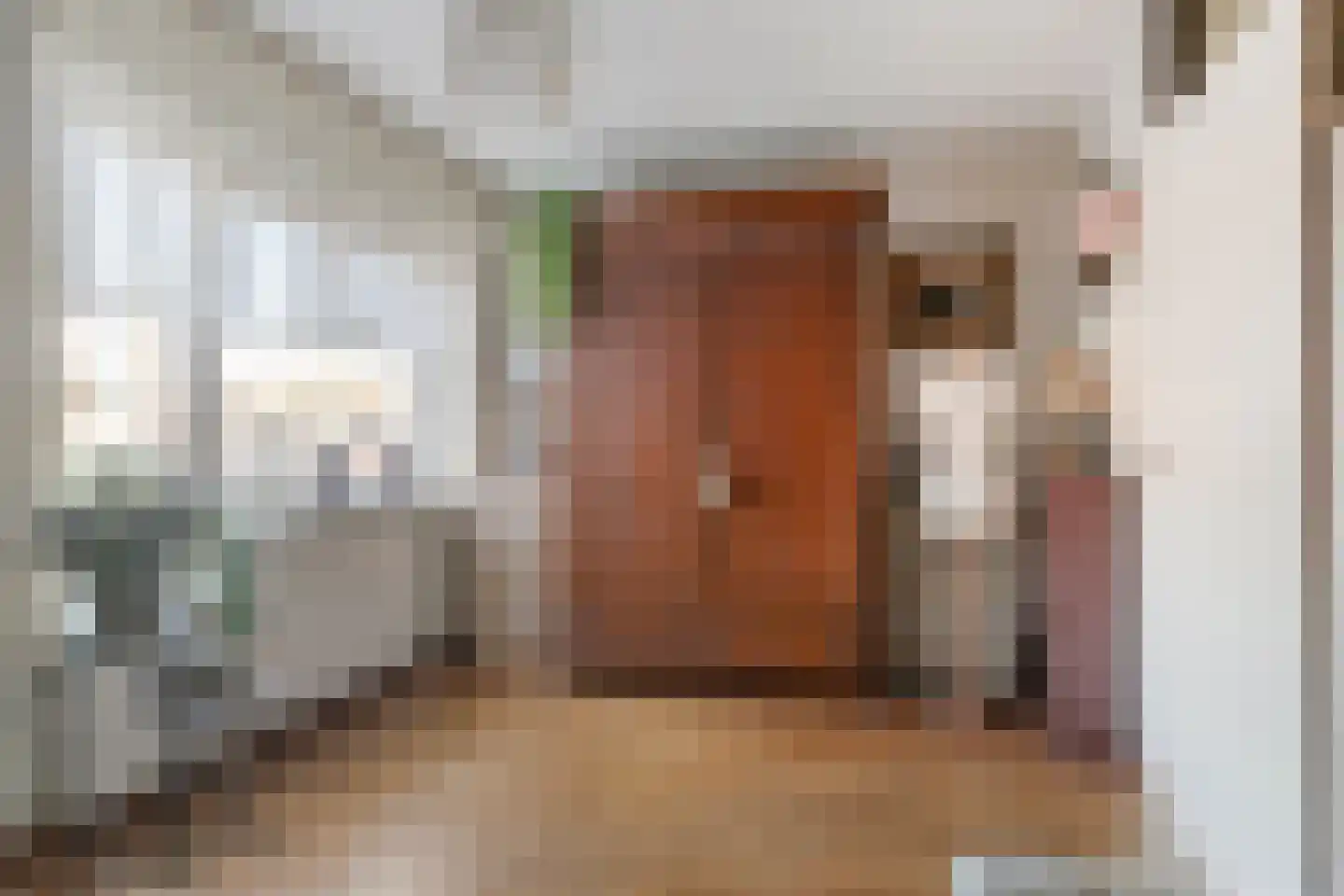 Waaierdans 15 Capelle aan den IJssel thumbnail 19