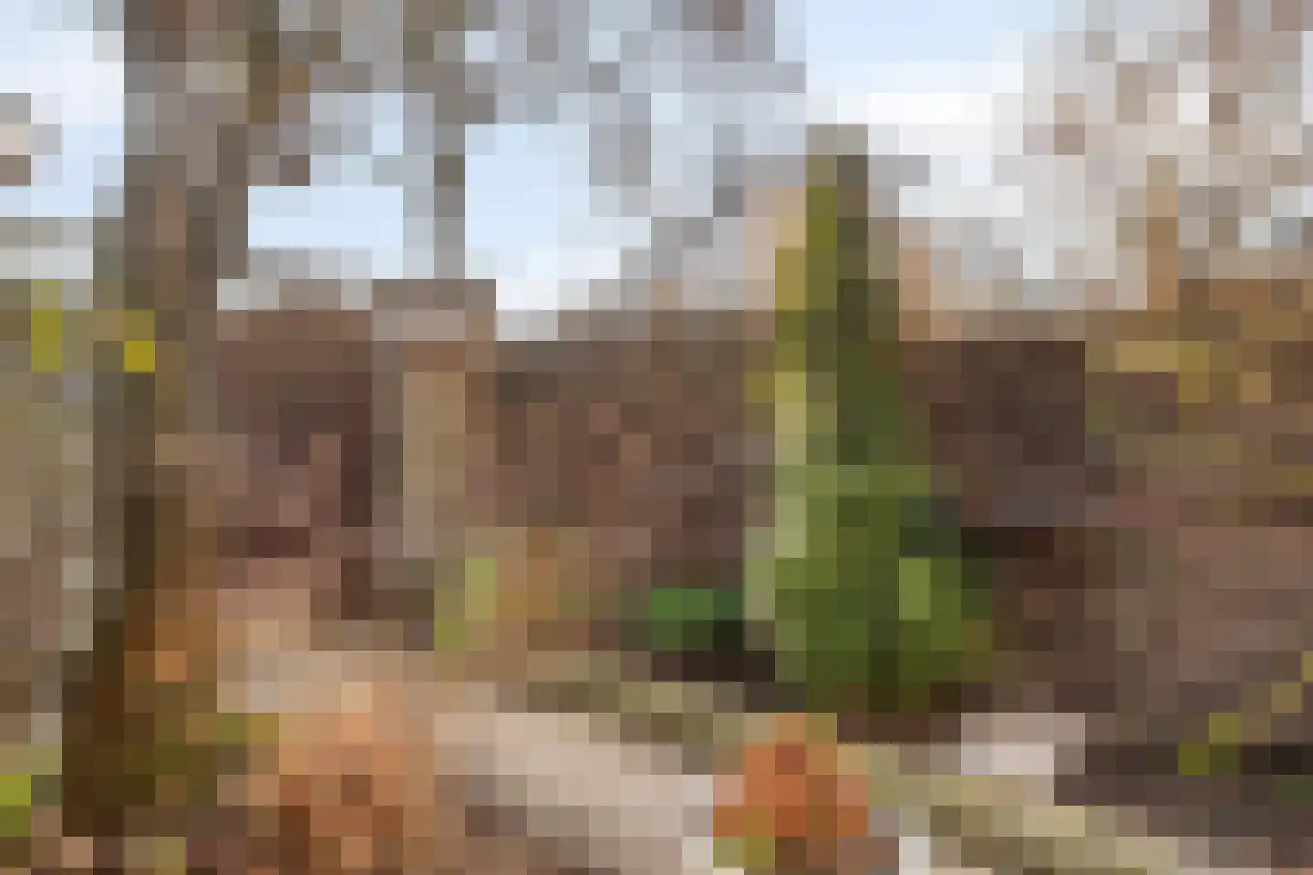 Waaierdans 15 Capelle aan den IJssel thumbnail 25