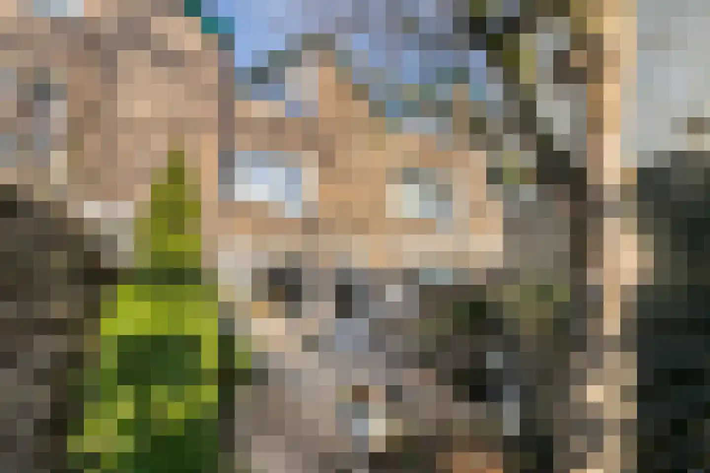 Waaierdans 15 Capelle aan den IJssel thumbnail 26