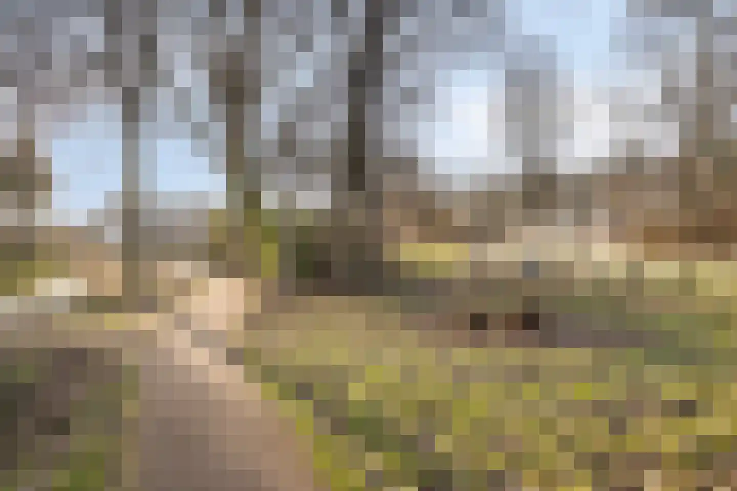 Waaierdans 15 Capelle aan den IJssel thumbnail 28