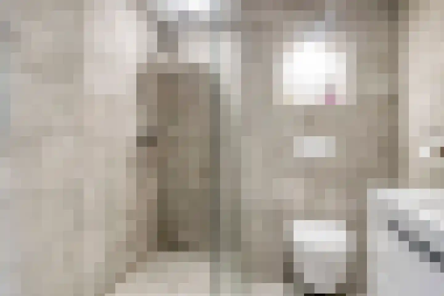 Waaierdans 15 Capelle aan den IJssel thumbnail 4