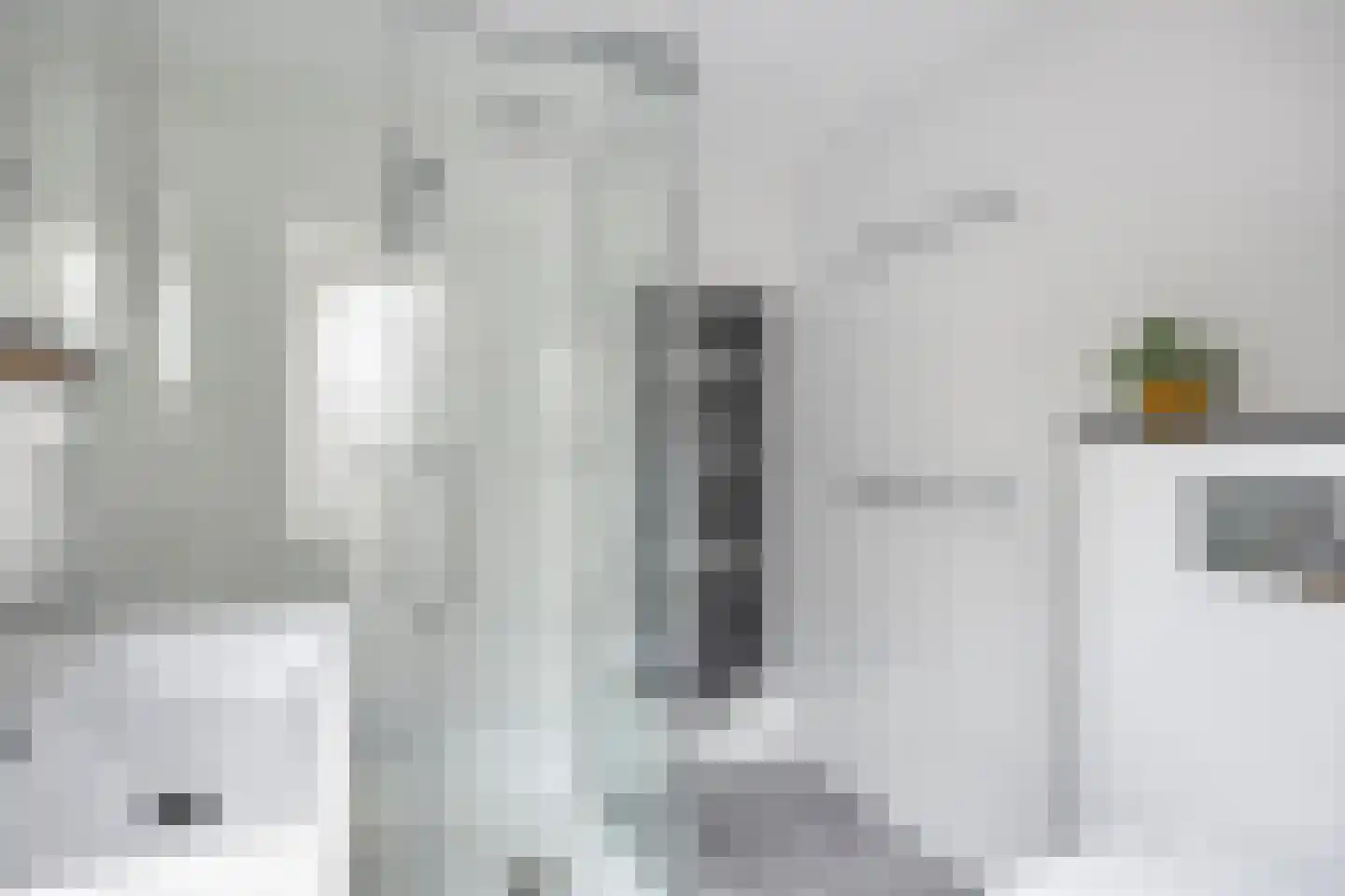 Waaierdans 3 Capelle aan den IJssel thumbnail 17