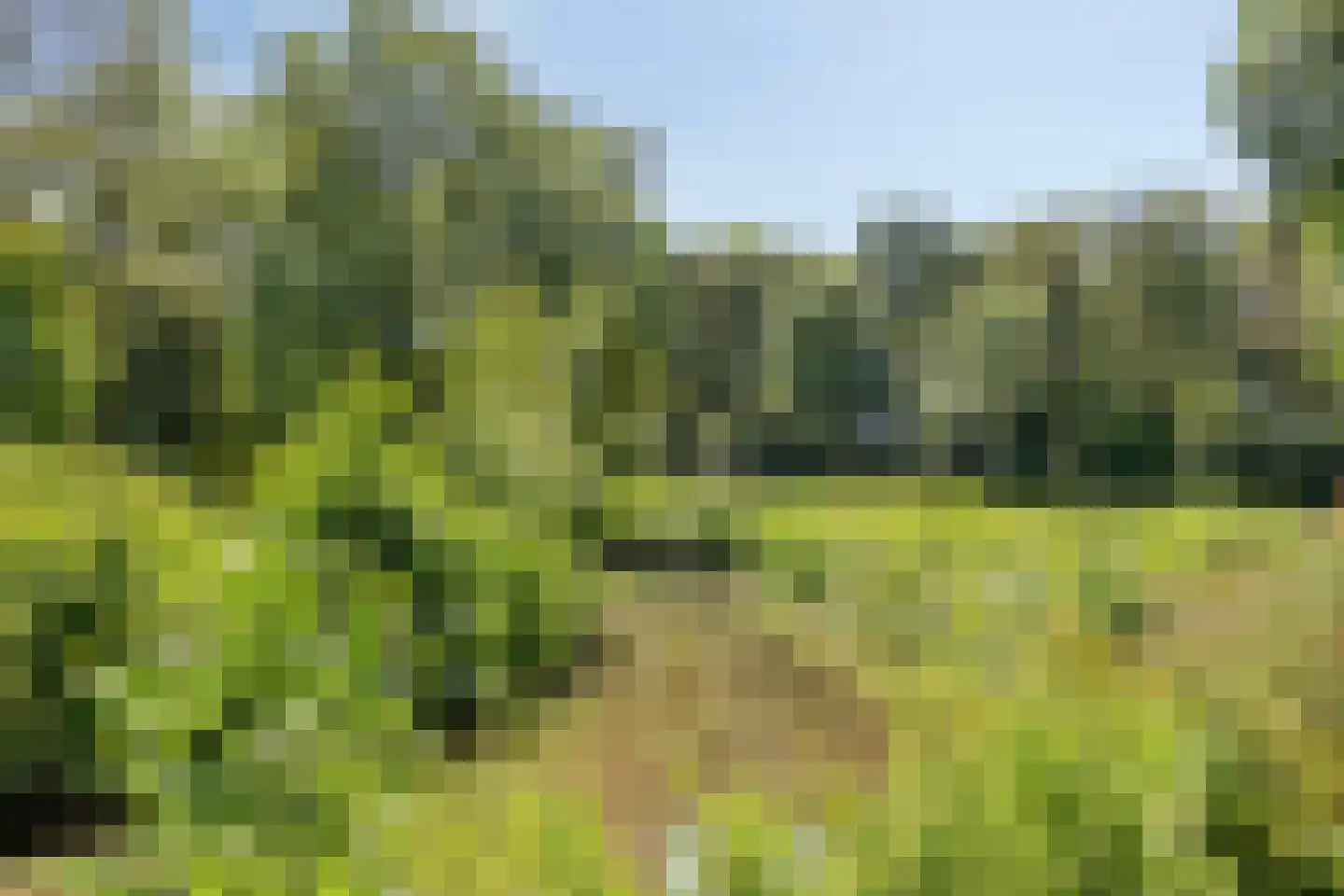 Waaierdans 3 Capelle aan den IJssel thumbnail 31