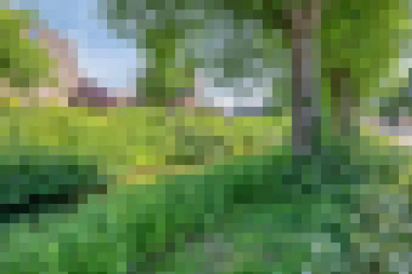 Waaierdans 3 Capelle aan den IJssel thumbnail 32