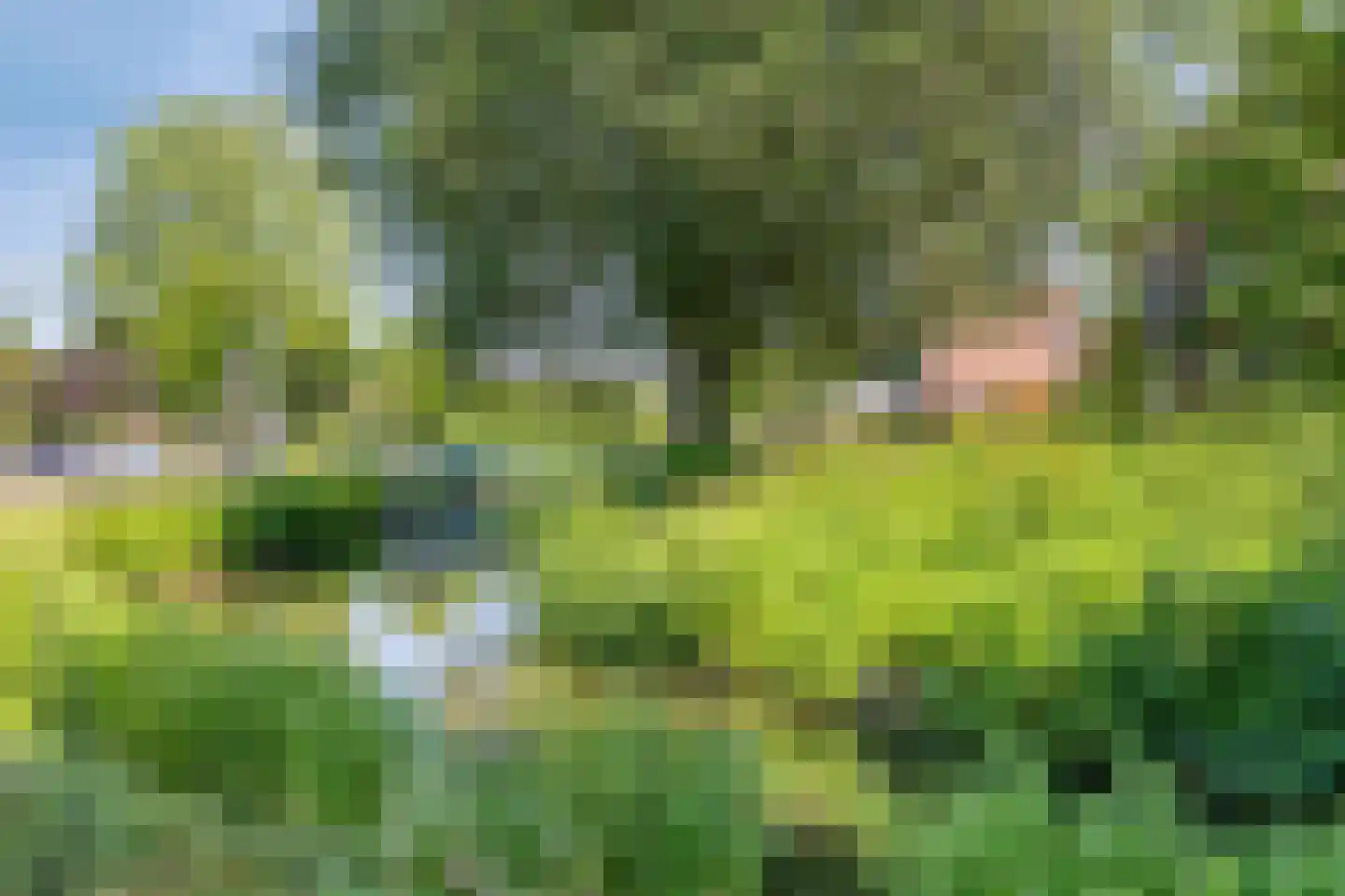 Waaierdans 3 Capelle aan den IJssel thumbnail 33