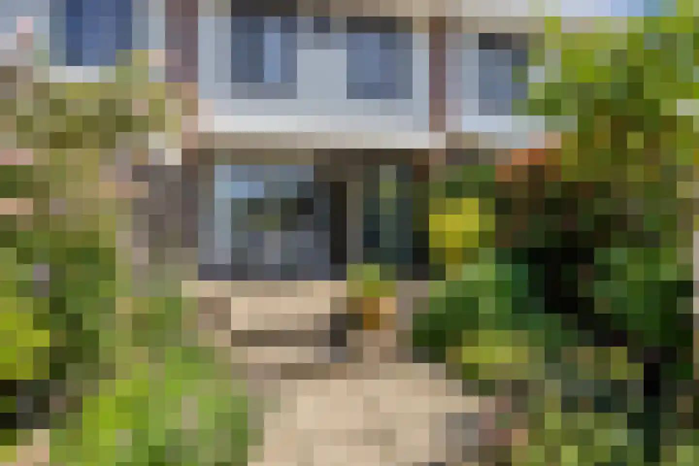 Waaierdans 3 Capelle aan den IJssel thumbnail 4