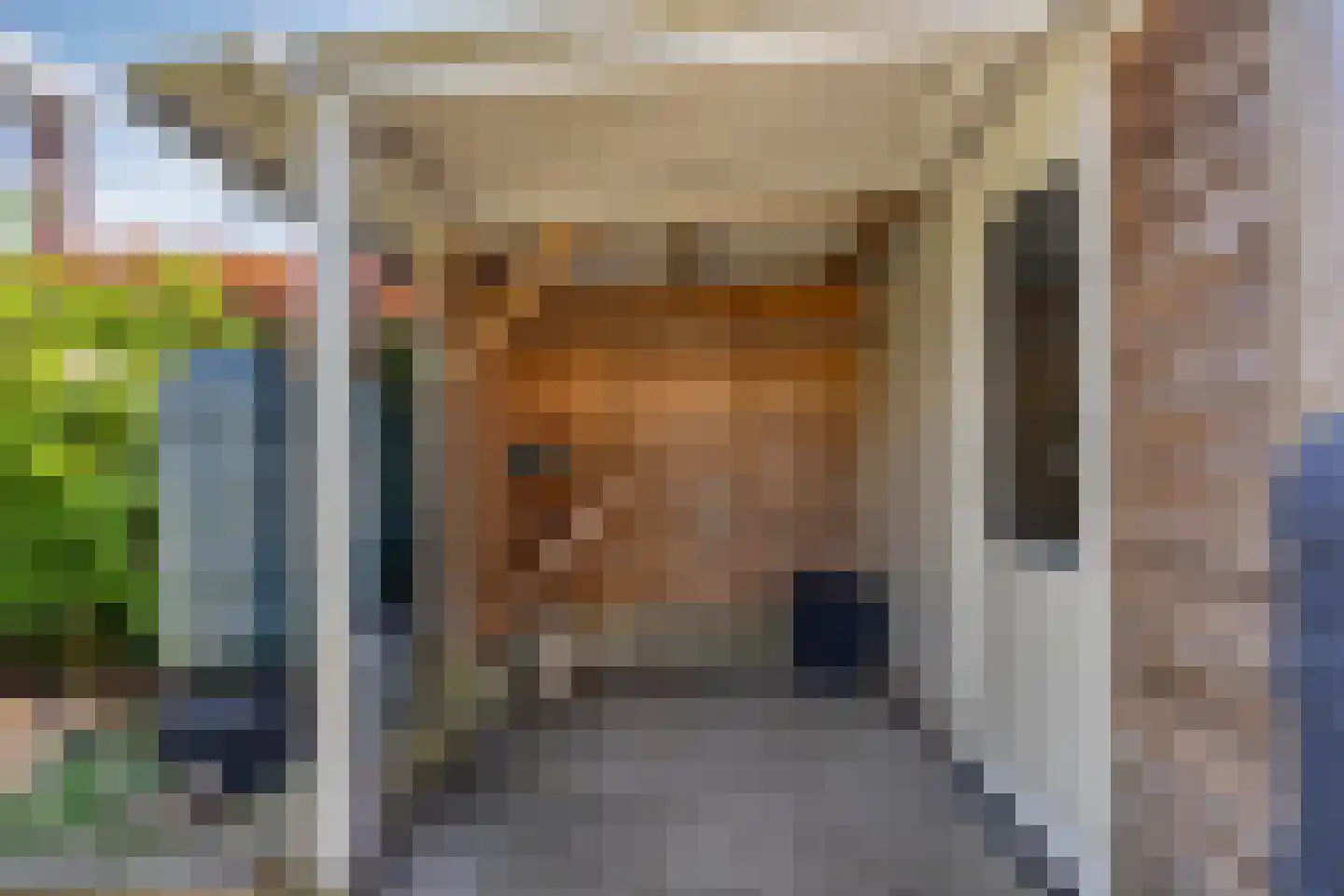 Waaierdans 3 Capelle aan den IJssel thumbnail 5