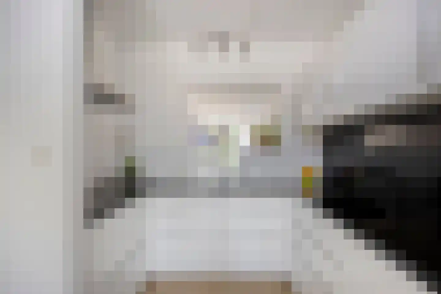 Waaierdans 3 Capelle aan den IJssel thumbnail 8