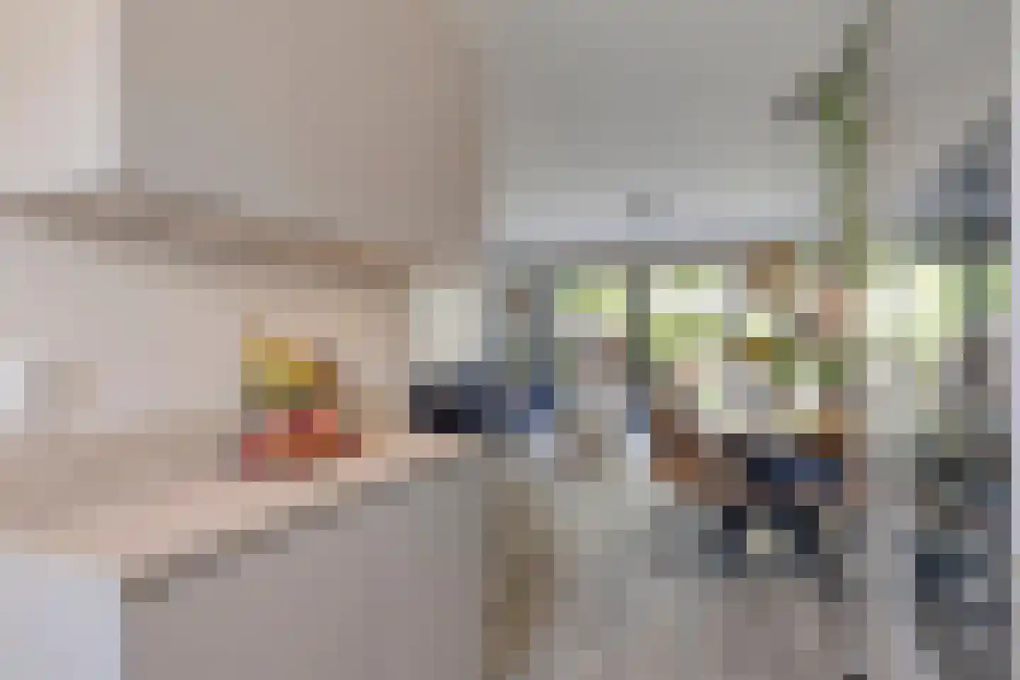 Waaierdans 48 Capelle aan den IJssel thumbnail 11