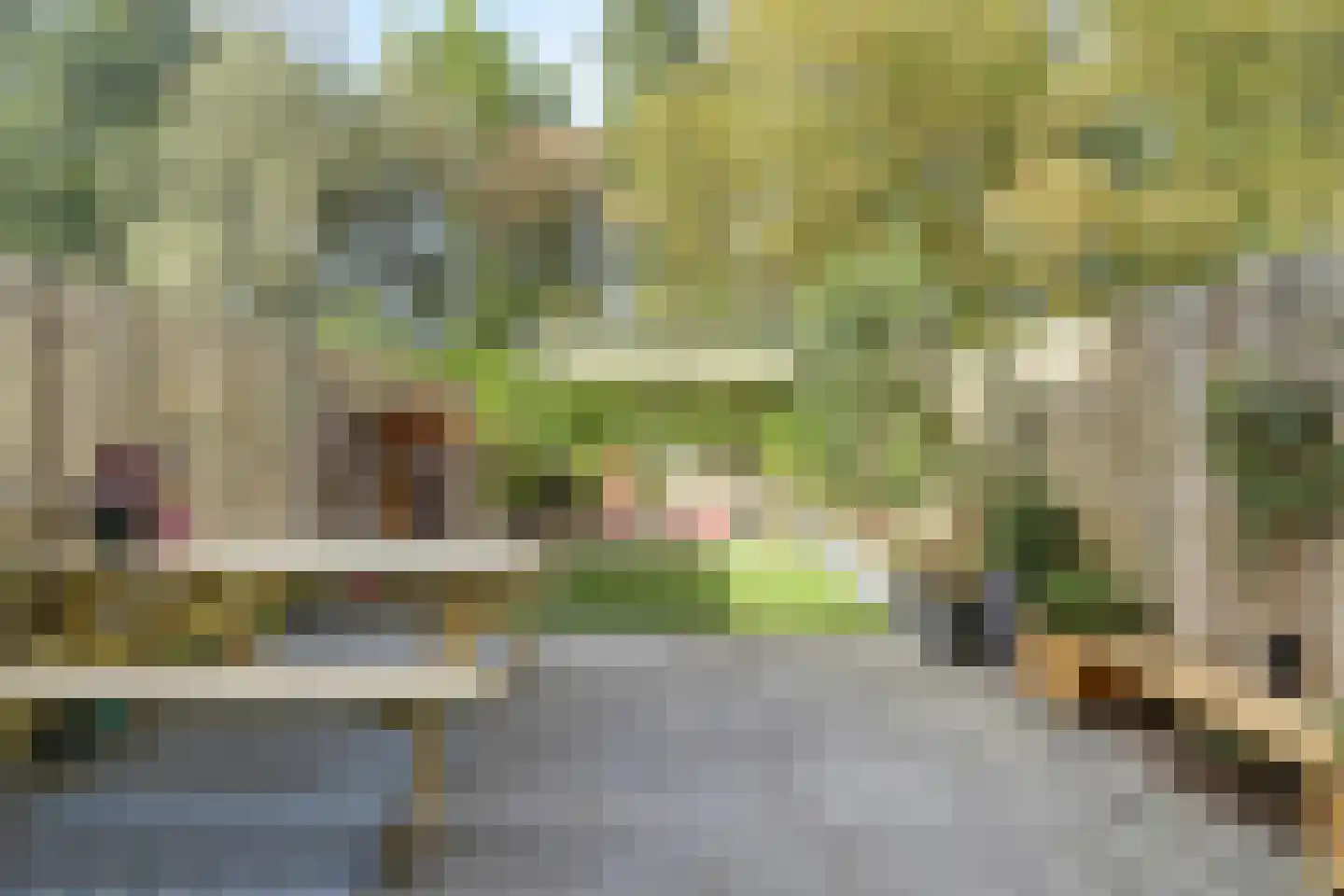 Waaierdans 48 Capelle aan den IJssel thumbnail 13