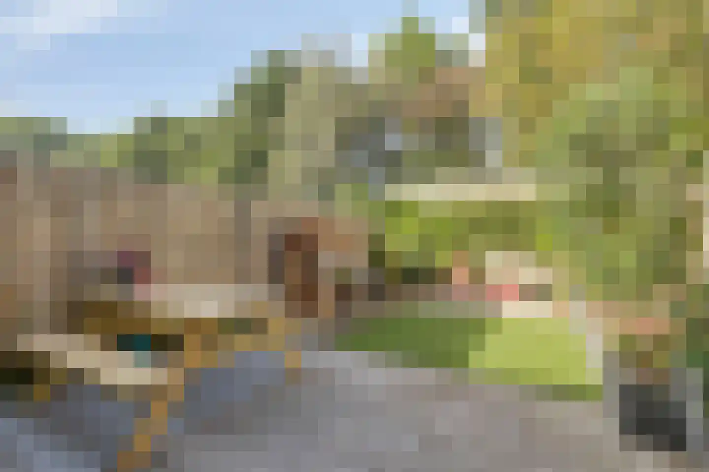 Waaierdans 48 Capelle aan den IJssel thumbnail 14