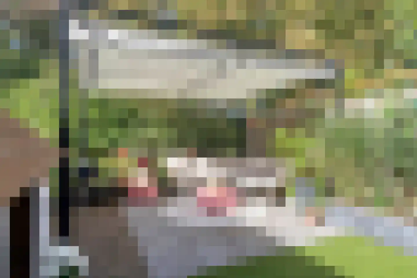 Waaierdans 48 Capelle aan den IJssel thumbnail 15