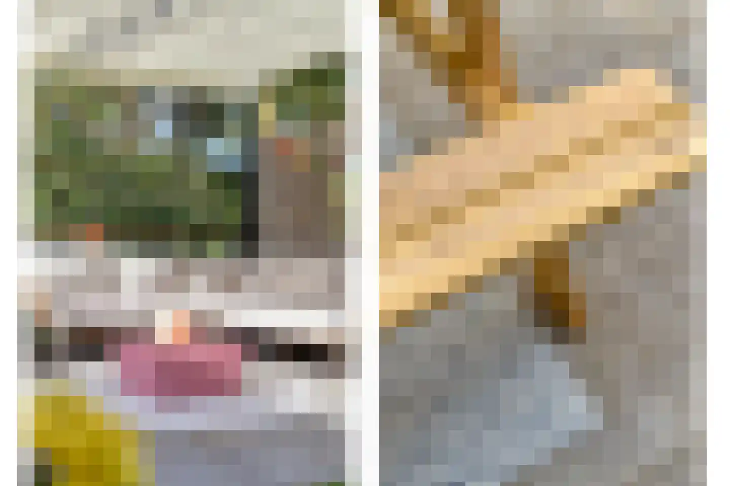 Waaierdans 48 Capelle aan den IJssel thumbnail 16