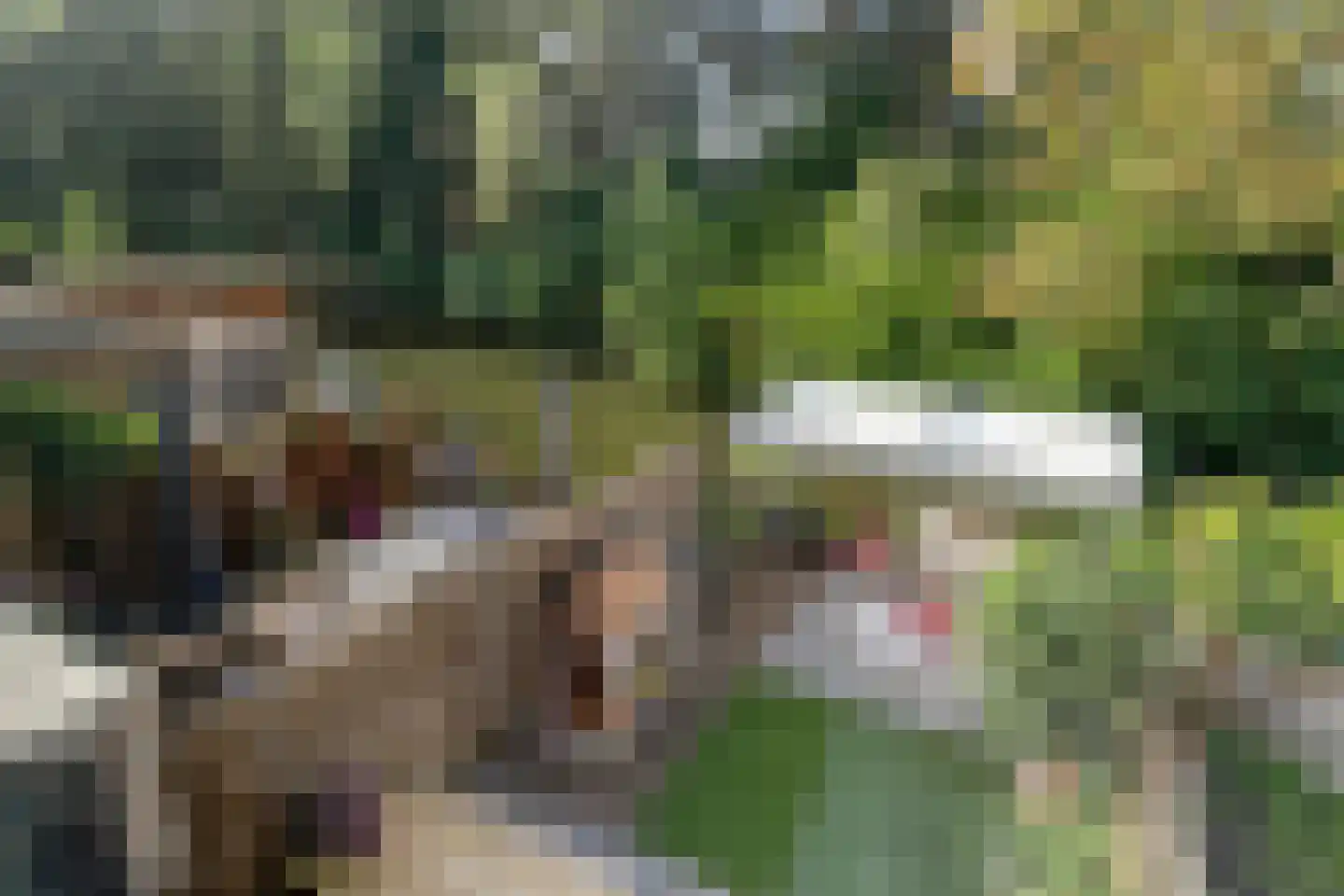 Waaierdans 48 Capelle aan den IJssel thumbnail 17