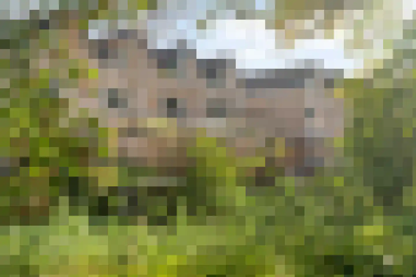 Waaierdans 48 Capelle aan den IJssel thumbnail 19
