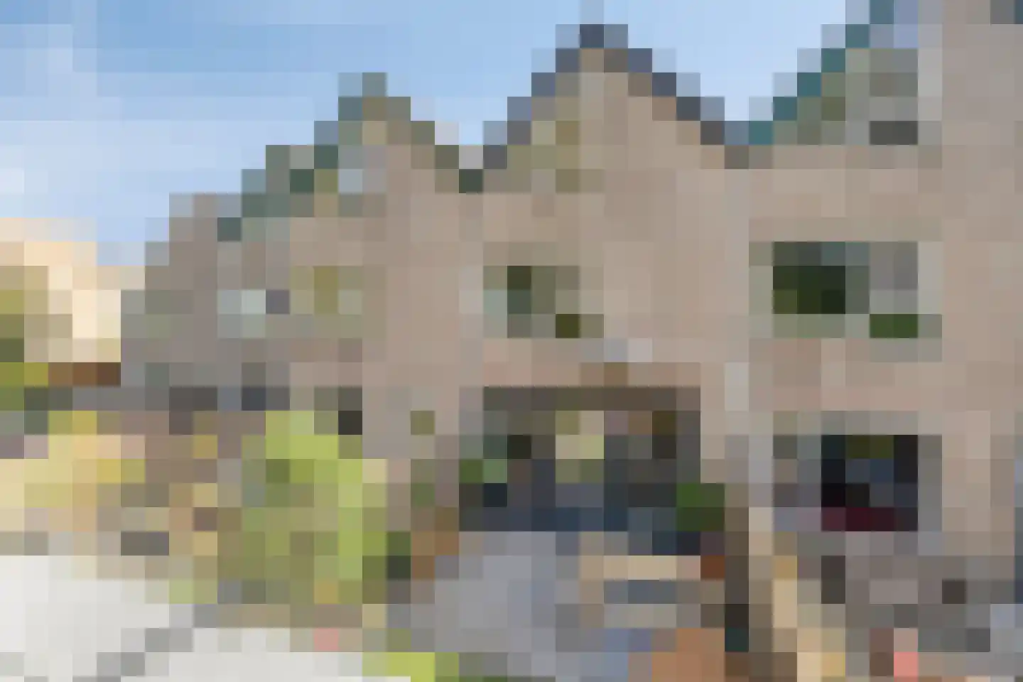 Waaierdans 48 Capelle aan den IJssel thumbnail 20