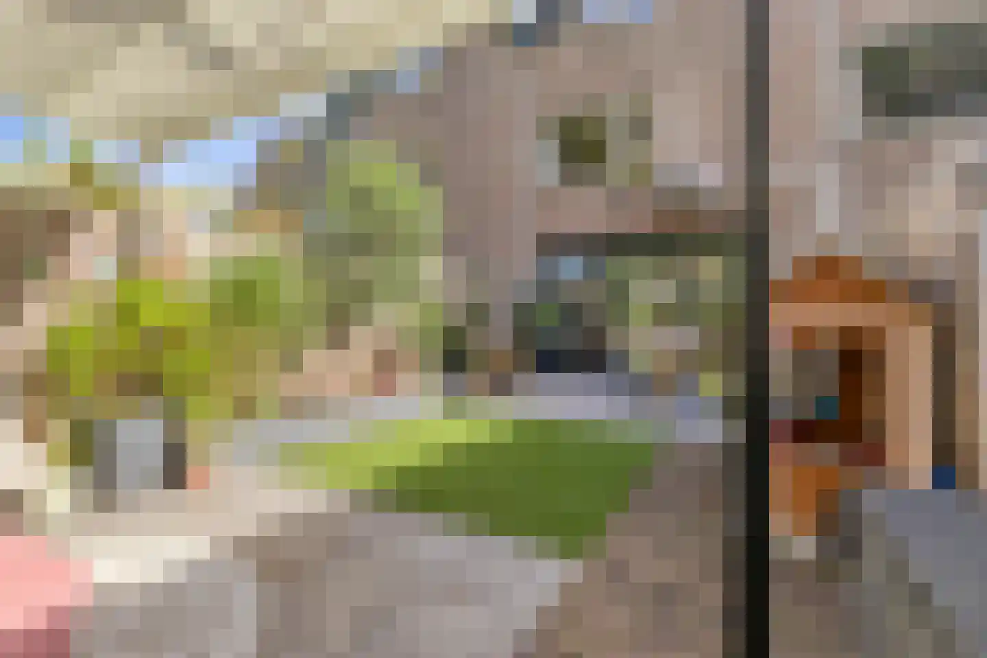 Waaierdans 48 Capelle aan den IJssel thumbnail 22