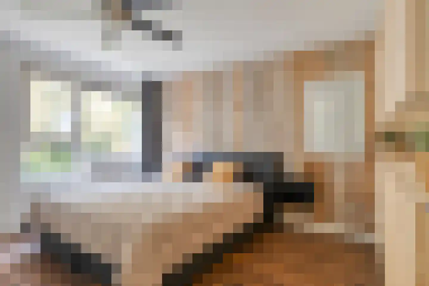 Waaierdans 48 Capelle aan den IJssel thumbnail 23