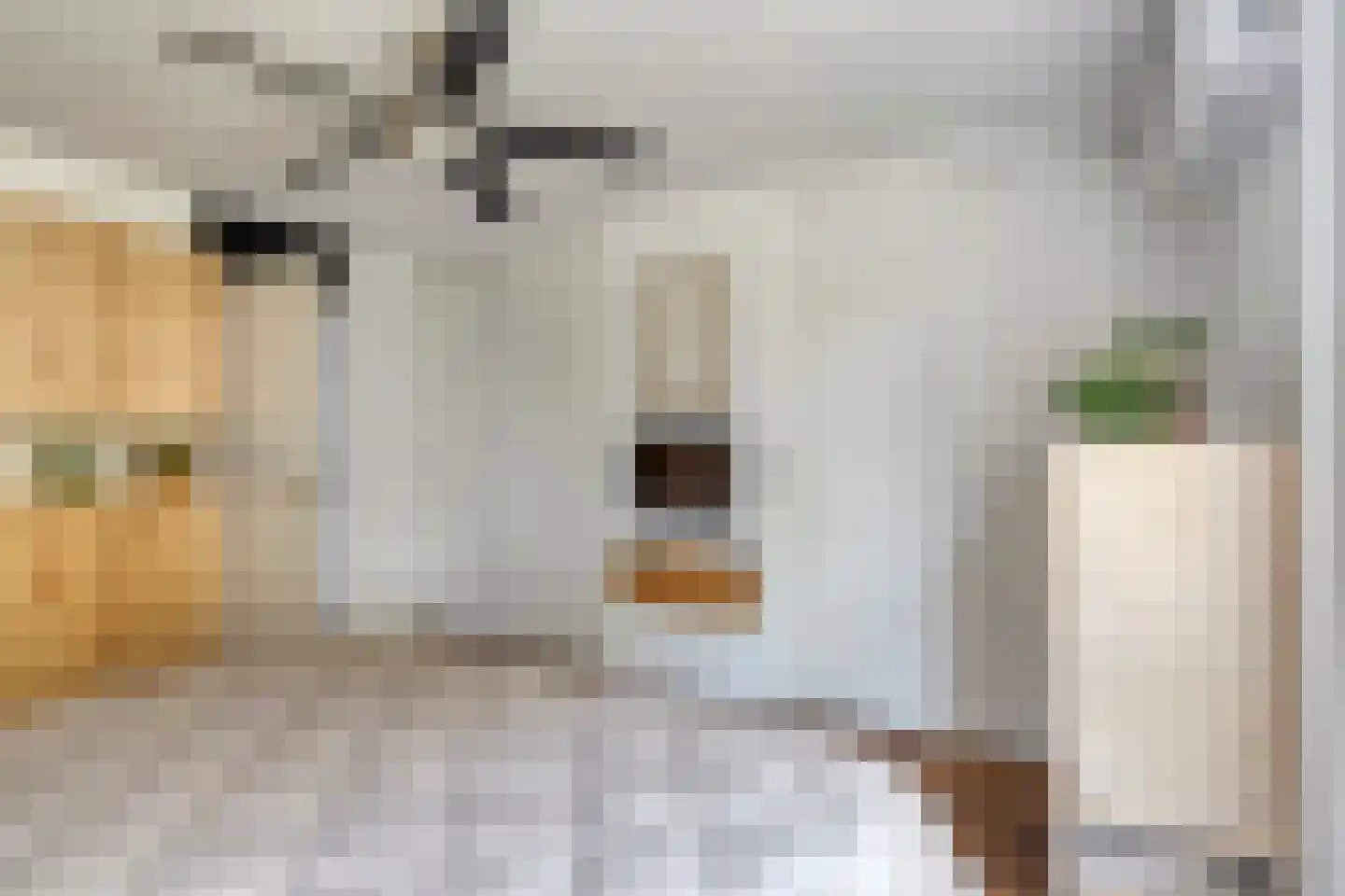 Waaierdans 48 Capelle aan den IJssel thumbnail 24