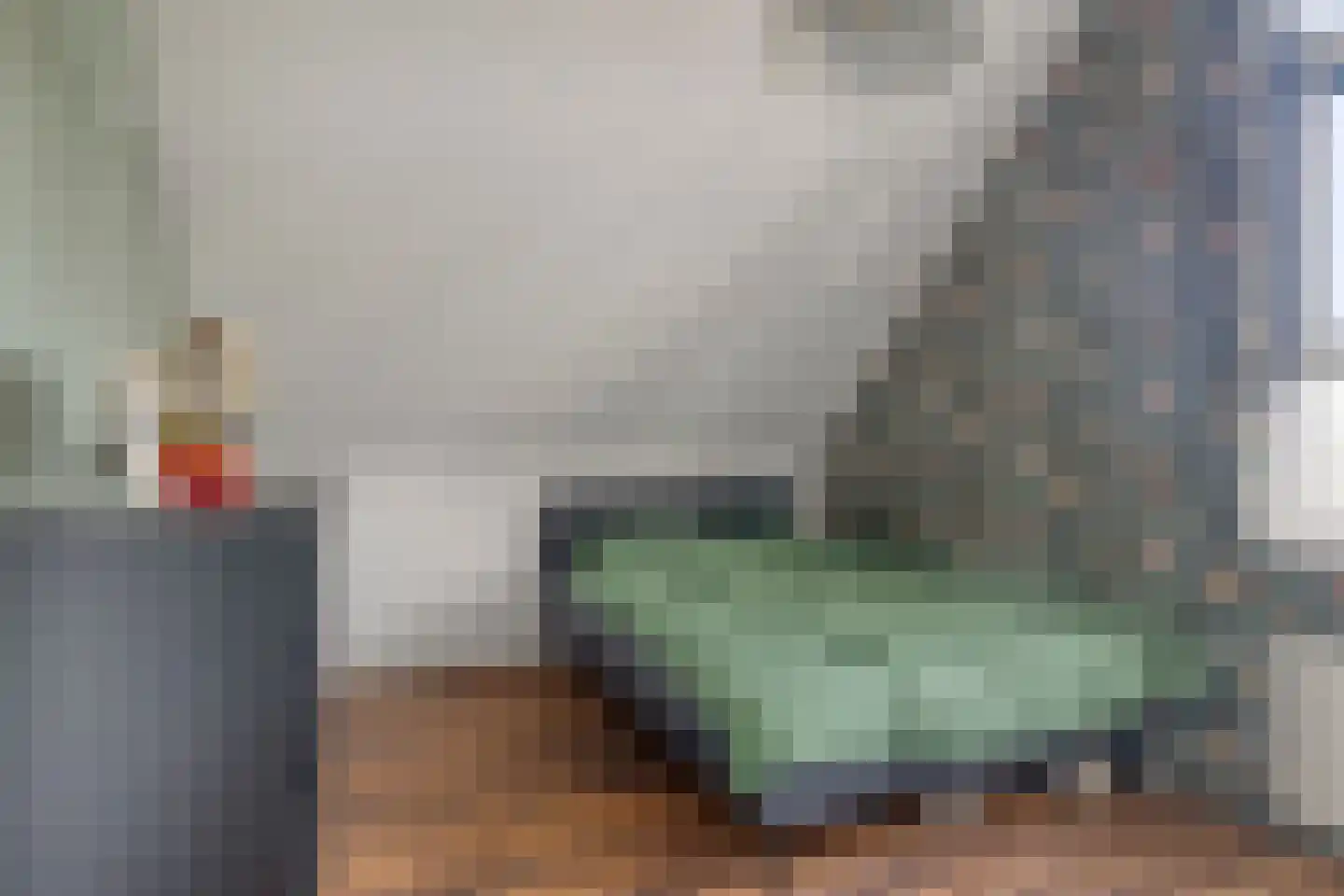 Waaierdans 48 Capelle aan den IJssel thumbnail 35