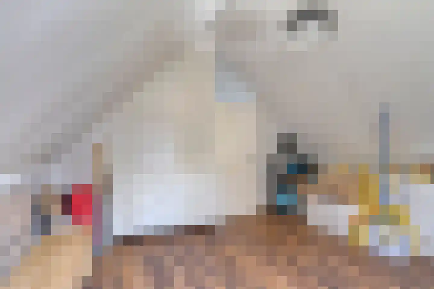 Waaierdans 48 Capelle aan den IJssel thumbnail 39