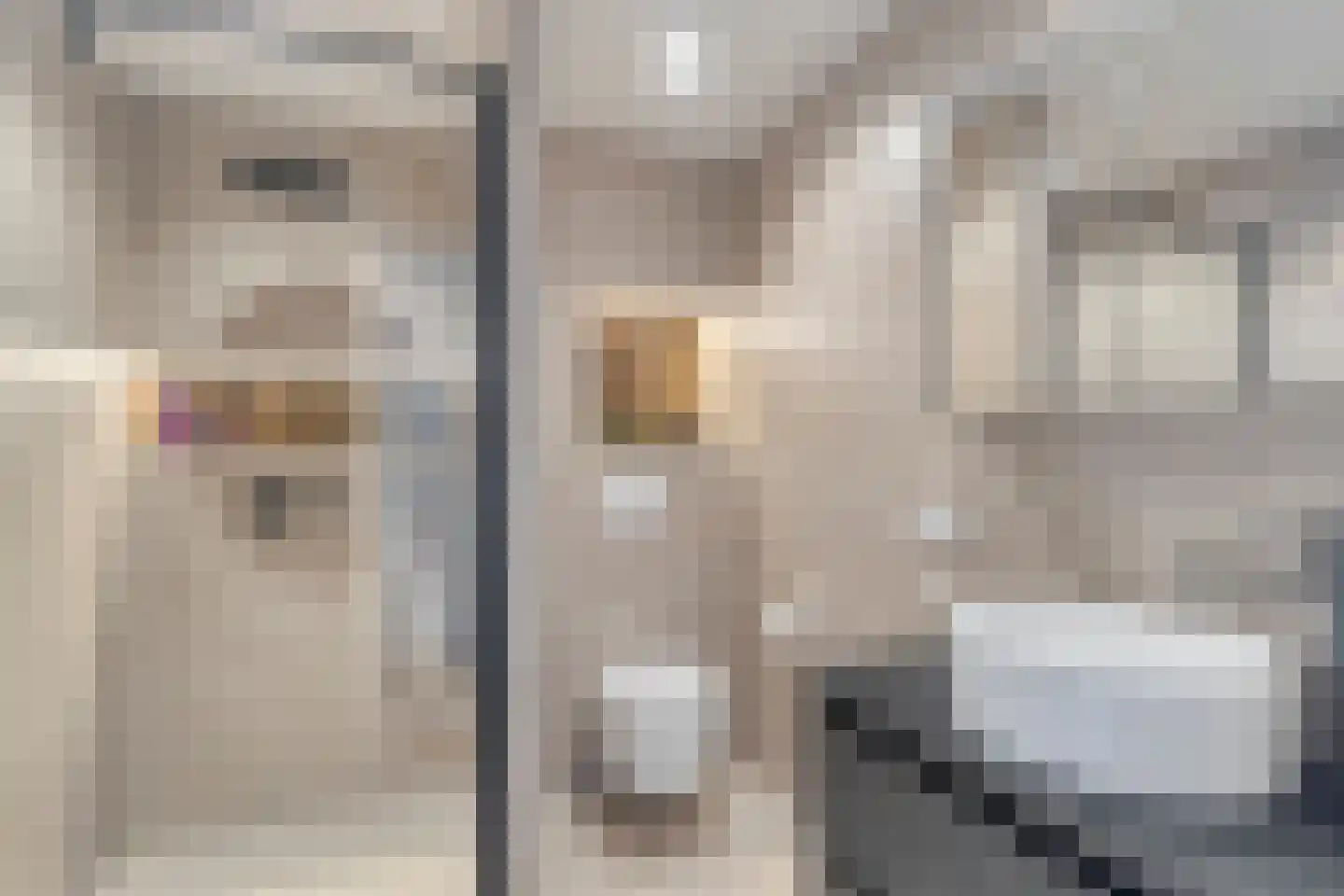 Waaierdans 48 Capelle aan den IJssel thumbnail 4