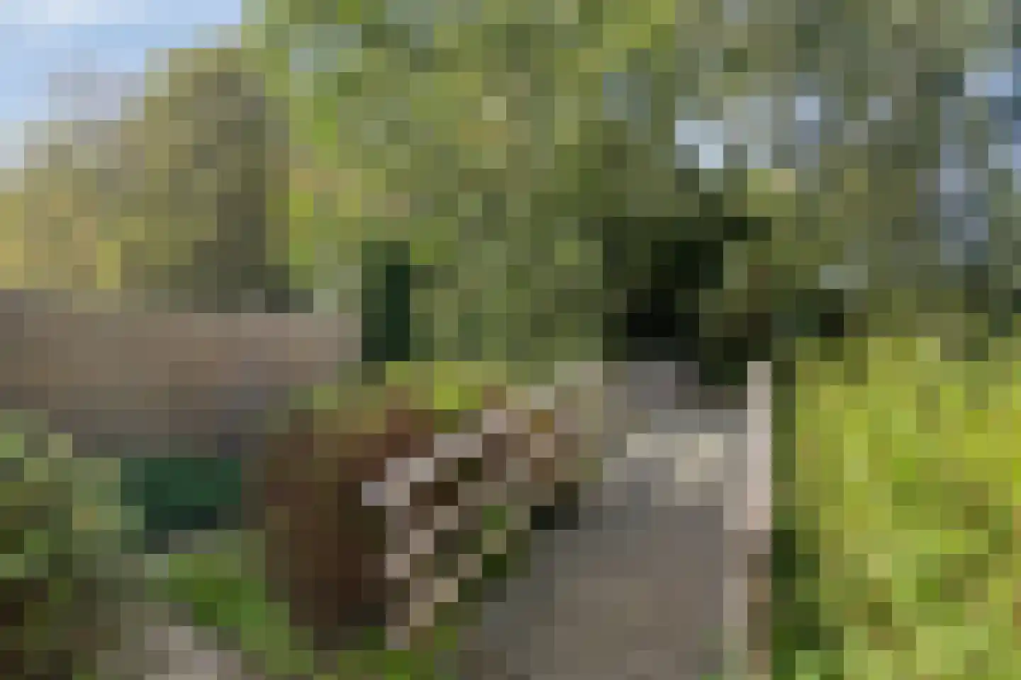 Waaierdans 48 Capelle aan den IJssel thumbnail 49