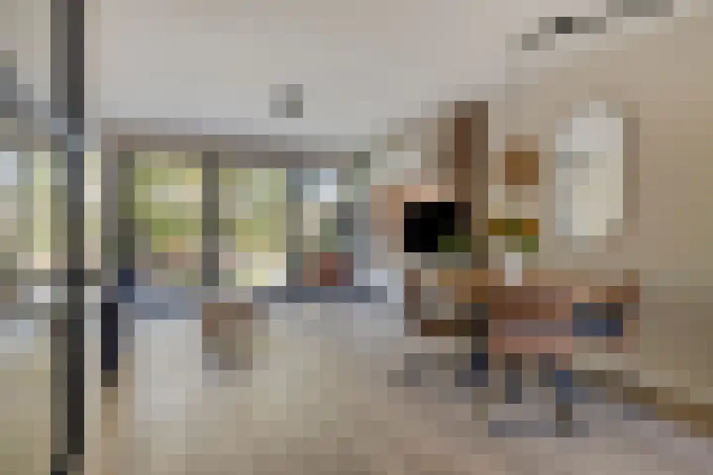 Waaierdans 48 Capelle aan den IJssel thumbnail 5