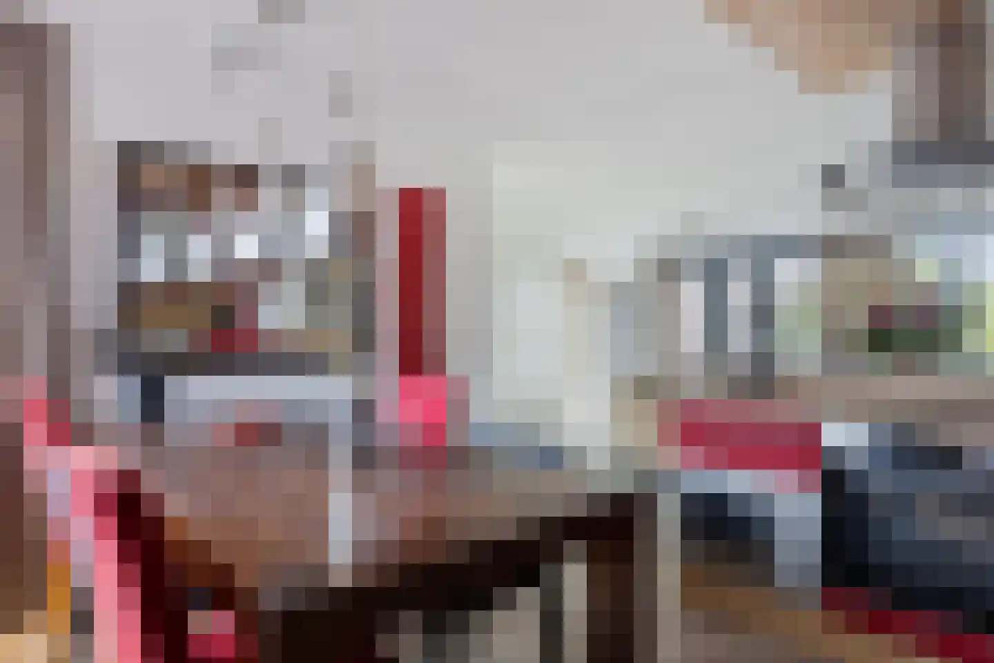 Waaierpalmstraat 3 Purmerend thumbnail 12