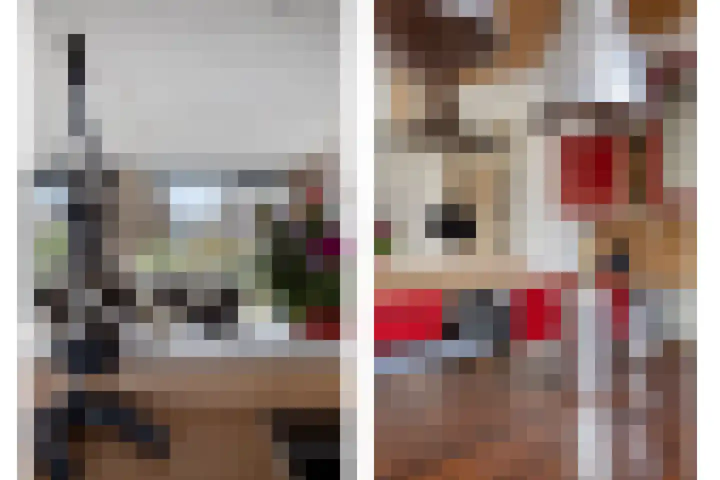 Waaierpalmstraat 3 Purmerend thumbnail 13