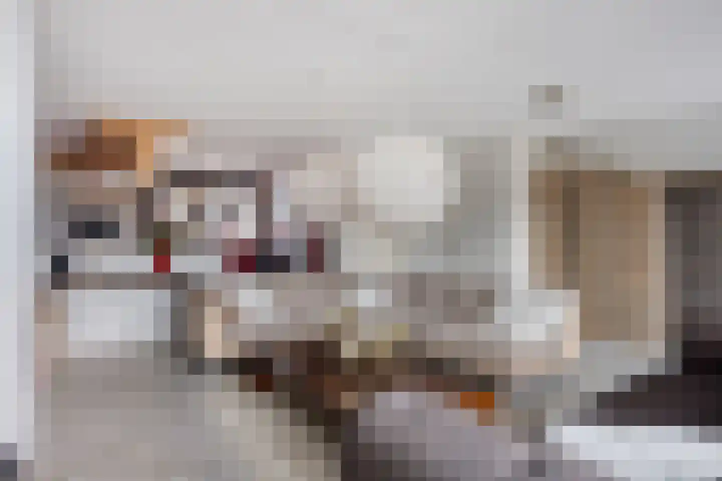Waaierpalmstraat 3 Purmerend thumbnail 14