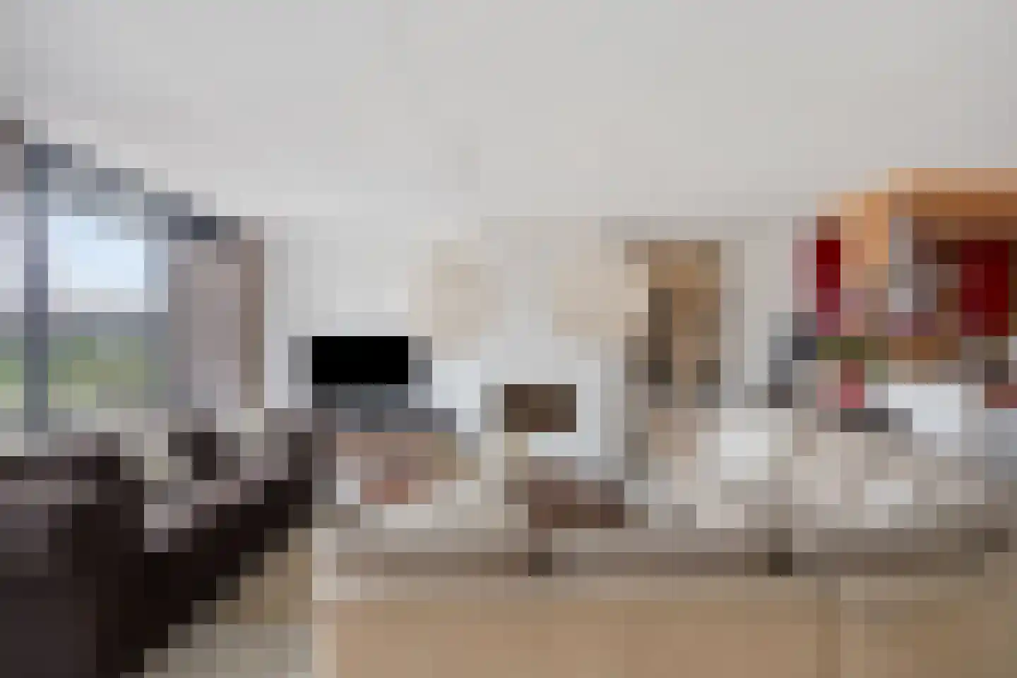 Waaierpalmstraat 3 Purmerend thumbnail 17