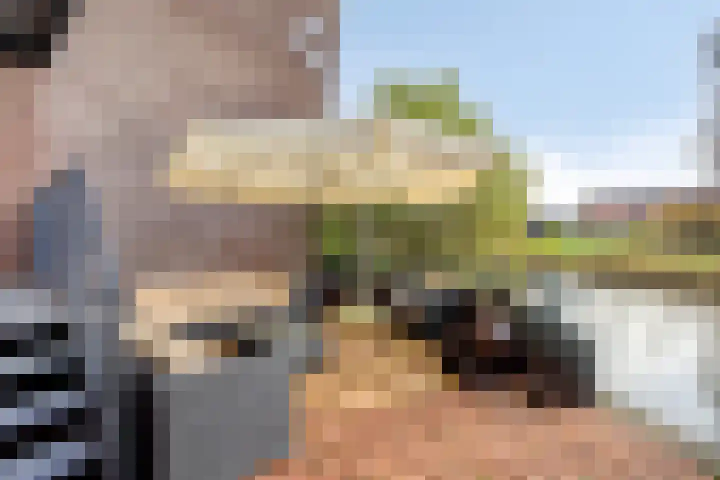 Waaierpalmstraat 3 Purmerend thumbnail 19