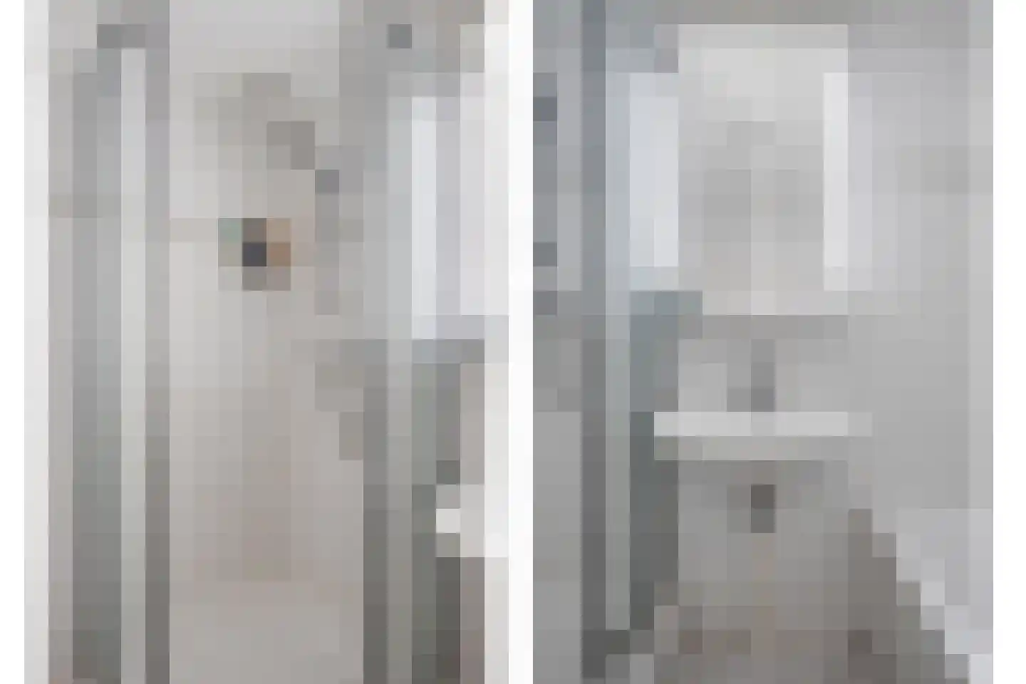 Waaierpalmstraat 3 Purmerend thumbnail 30