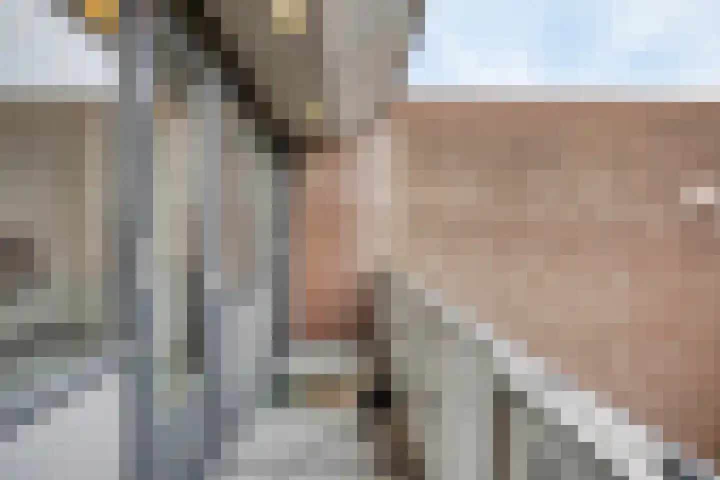 Waaierpalmstraat 3 Purmerend thumbnail 35