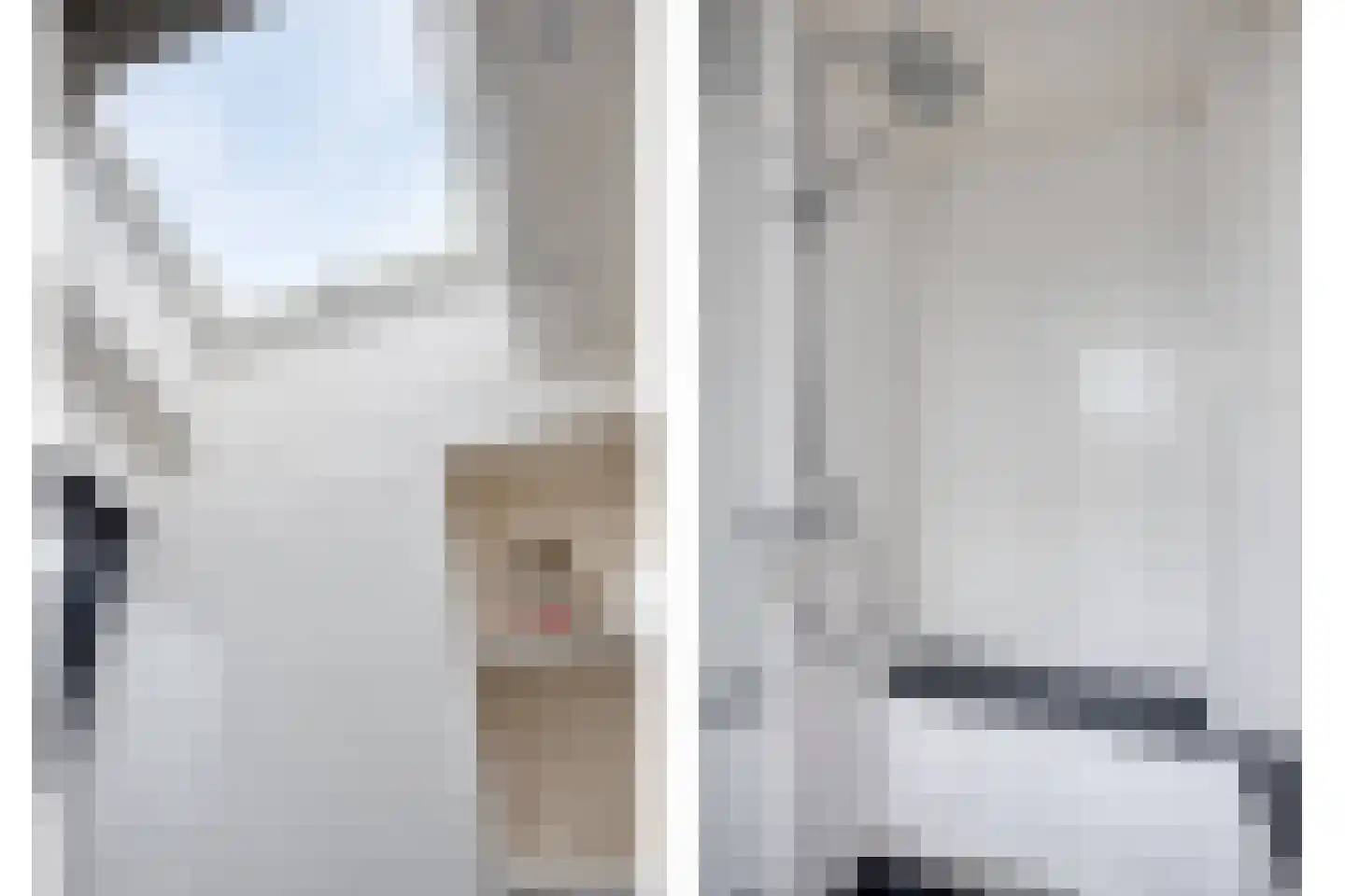 Waaierpalmstraat 3 Purmerend thumbnail 42