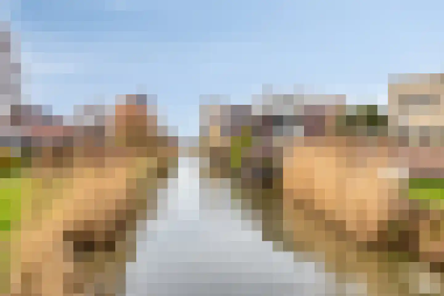 Waaierpalmstraat 3 Purmerend thumbnail 45