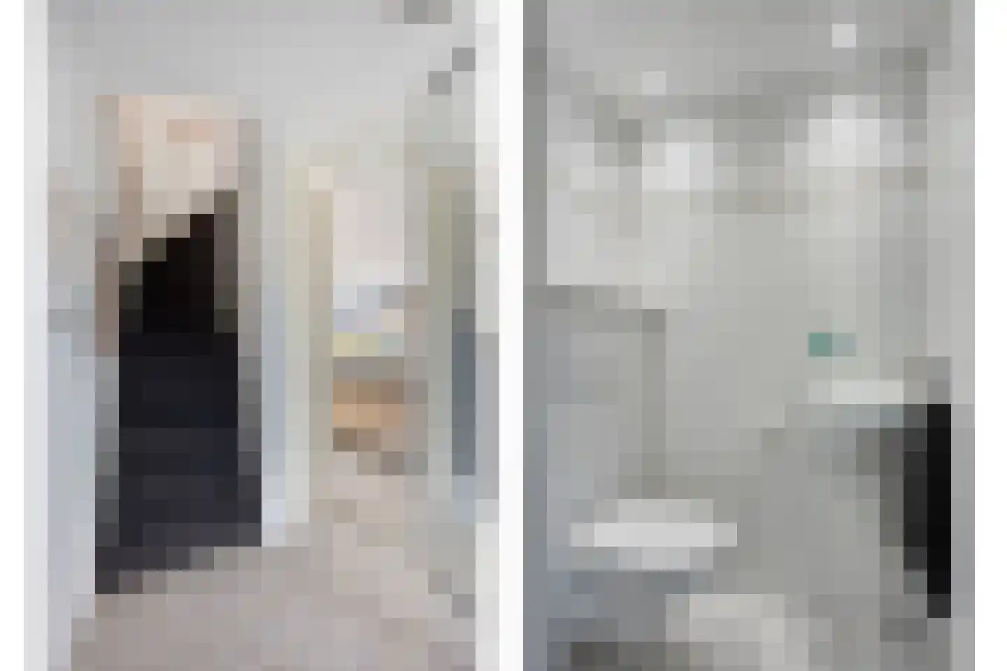 Waaierpalmstraat 3 Purmerend thumbnail 9