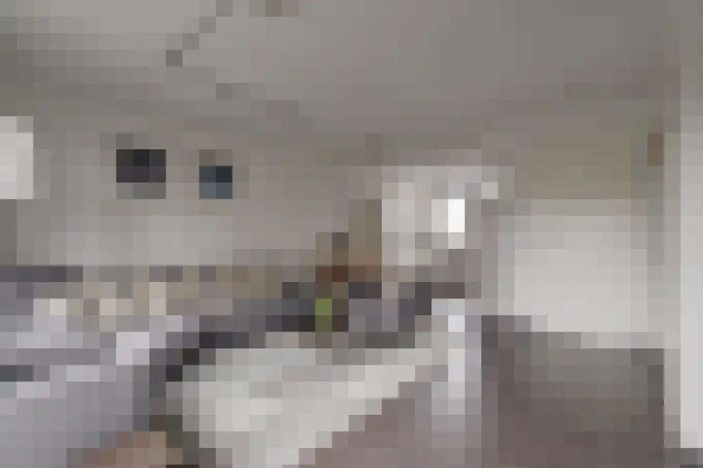 Waaiersluis 25 Sleeuwijk thumbnail 12